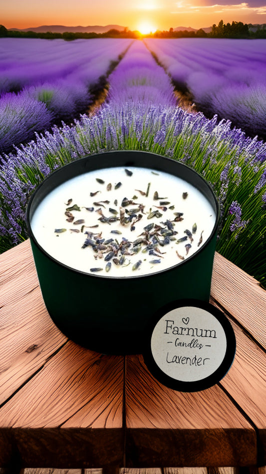 Lavender