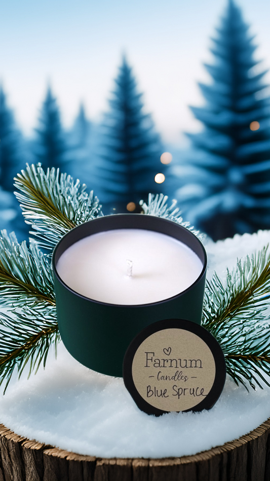 Blue Spruce