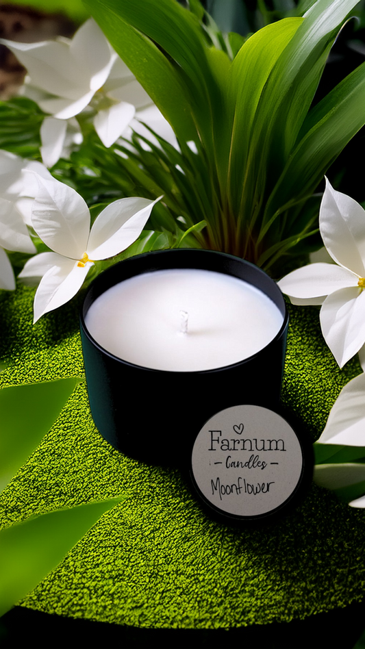 Moonflower