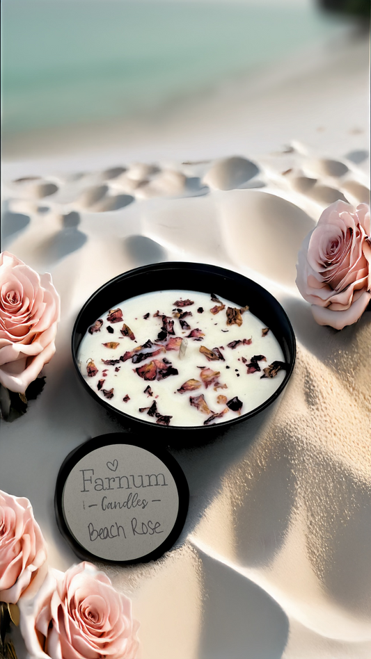 Beach Rose